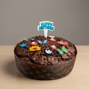 Whole Wheat Chocolate Choco-Chip Cake